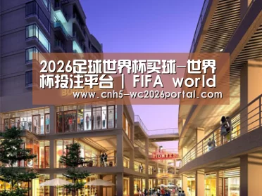 案例展示一(图1)