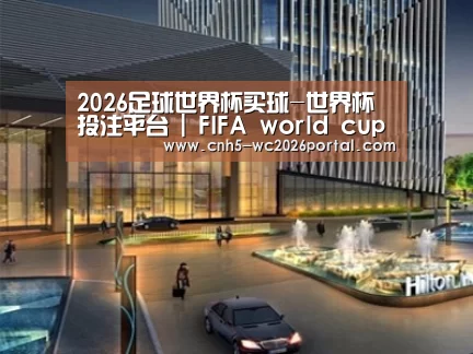 案例展示二