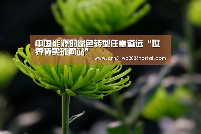 世界杯投注
