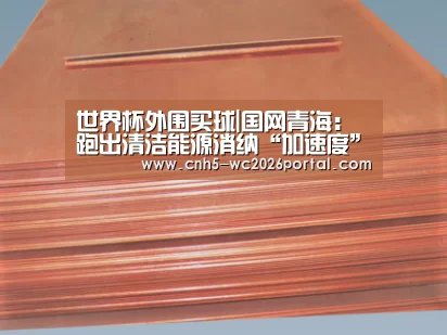 世界杯外围买球|国网青海:跑出清洁能源消纳“加速度”(图3) 世界杯买球网站