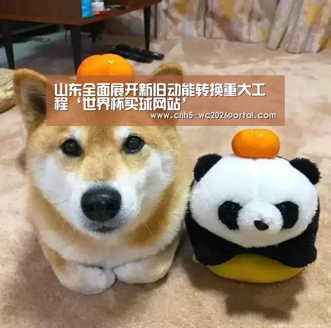 山东全面展开新旧动能转换重大工程‘世界杯买球网站’(图2) 世界杯买球网站
