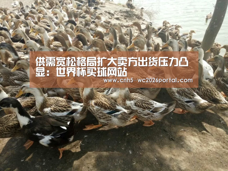 供需宽松格局扩大卖方出货压力凸显:世界杯买球网站(图1) 世界杯外围买球