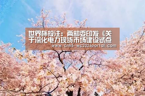 世界杯投注:两部委印发《关于深化电力现货市场建设试点工作的意见》(图1) 世界杯外围买球