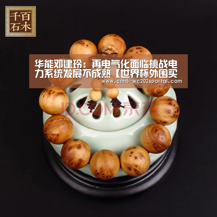 华能邓建玲:再电气化面临挑战电力系统发展不成熟【世界杯外围买球】(图4) 世界杯外围买球