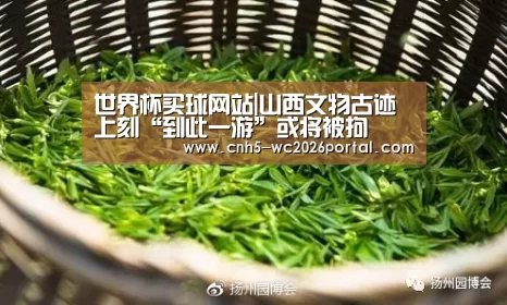 世界杯买球网站|山西文物古迹上刻“到此一游”或将被拘(图1) 世界杯外围买球