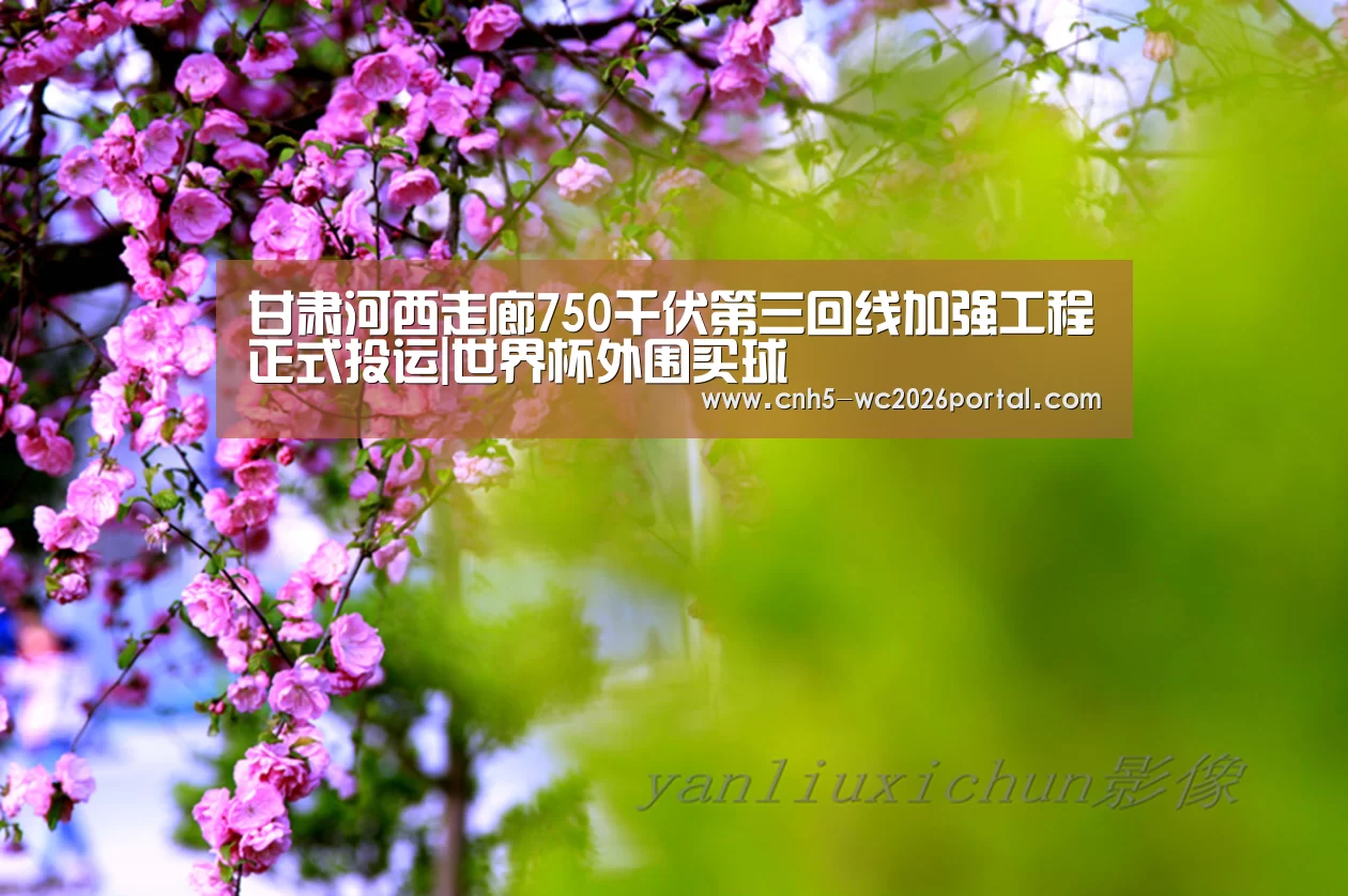 甘肃河西走廊750千伏第三回线加强工程正式投运|世界杯外围买球(图1) 世界杯买球网站