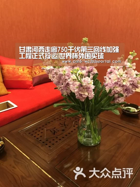 甘肃河西走廊750千伏第三回线加强工程正式投运|世界杯外围买球(图3) 世界杯投注